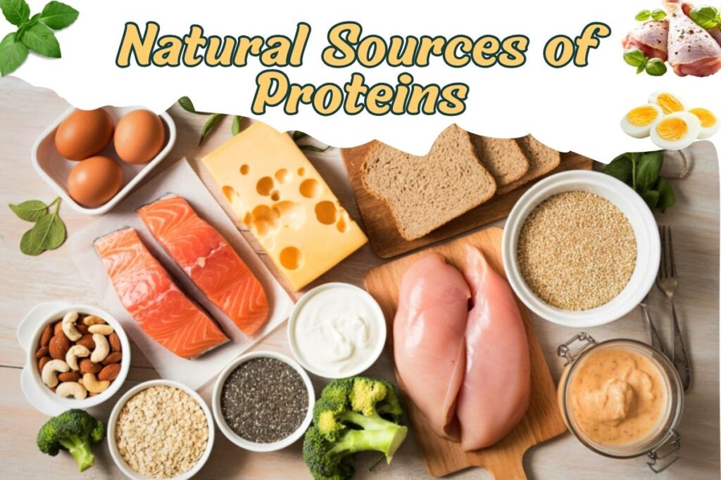 Natural Sources Of Proteins