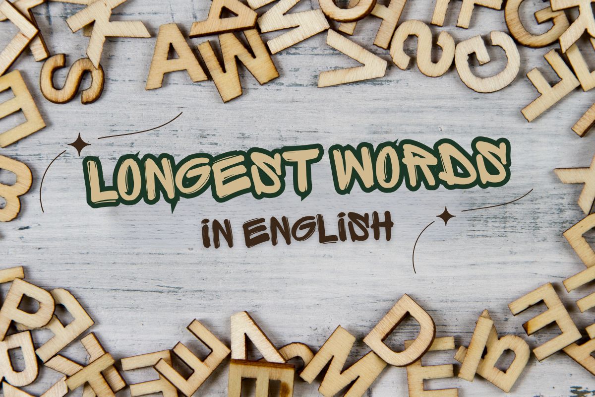 Longest Words in English