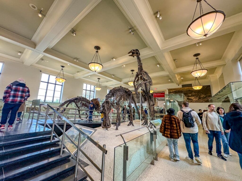 American Museum of Natural History