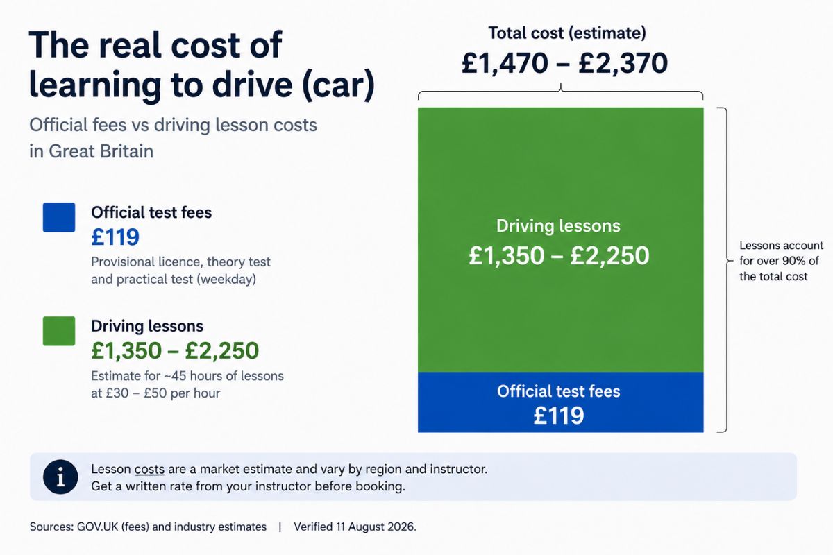 Real Cost of Learning to drive car